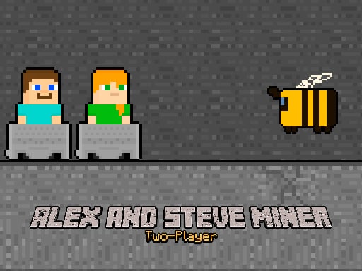 Alex and Steve Miner Two Player Details